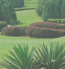 免费电话轰炸机